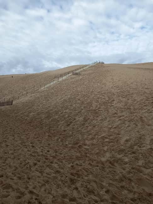 Dune du Pilat, Oysters Tasting and Arcachon! What else ? - Who this tour suits best (and who should rethink it)