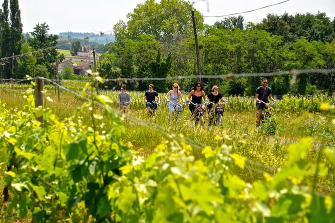 "Explore Saint-Émilion on e-Bikes: Small Group, half-Day Tour" - Weather and timing: when this day is likely best