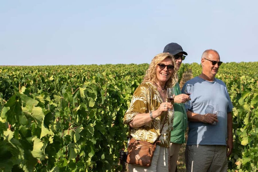 From Bordeaux: Afternoon Saint-Emilion Wine Tasting & snack - Key highlights that matter