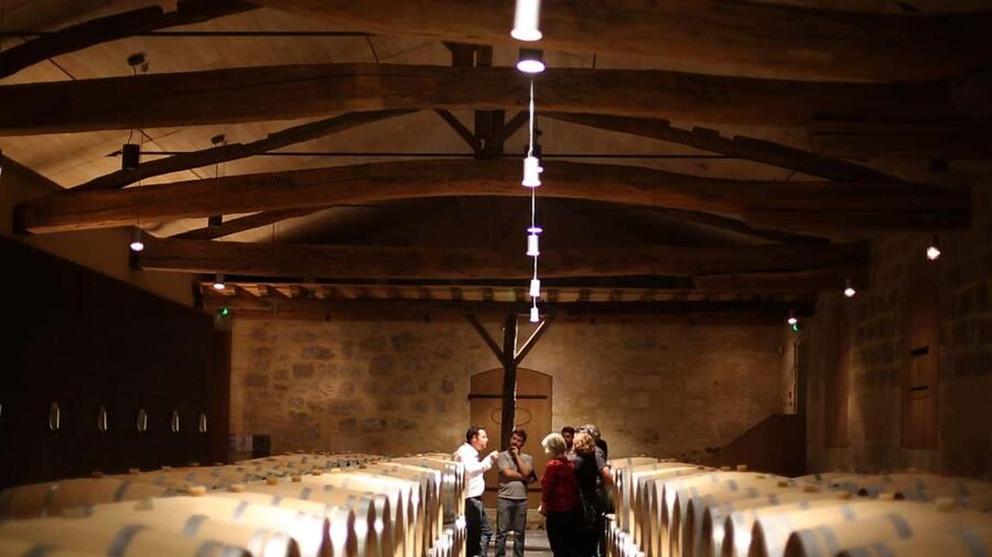 From Bordeaux: Afternoon Saint-Emilion Wine Tasting & snack - Aperitif platter: the French produce finish that feels genuinely local