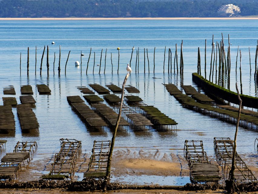 From Bordeaux: Arcachon and Pilat Dune Private Tour - Who this tour fits best (and who should think twice)