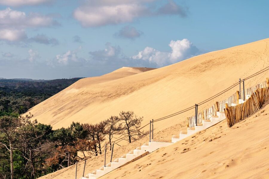 From Bordeaux: Arcachon Bay Full Day Tour and Oyster Lunch - Bordeaux to Arcachon in a Single Day: How the Timing Works