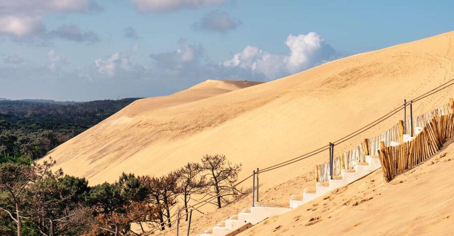 From Bordeaux: Arcachon Bay Full Day Tour and Oyster Lunch - Gujan-Mestras Oyster or Shrimp Lunch With Local Wine