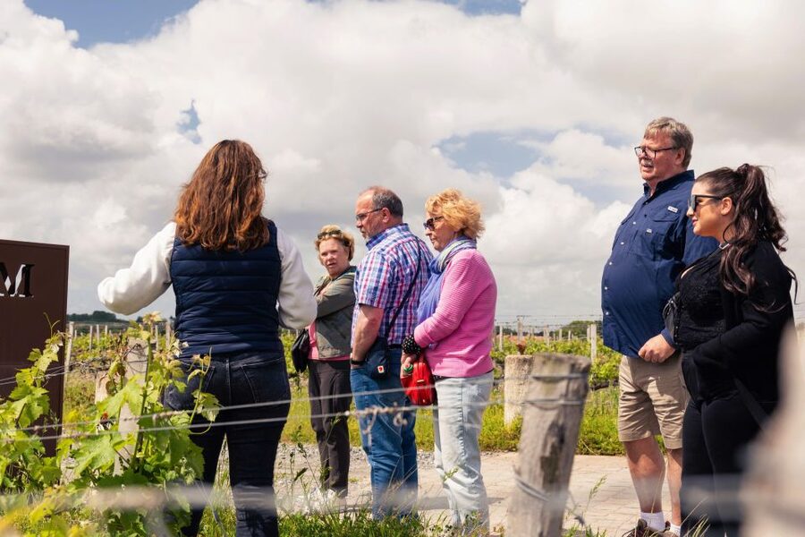 From Bordeaux: Essential Morning Tour with Wine Tasting - Key points worth knowing before you go
