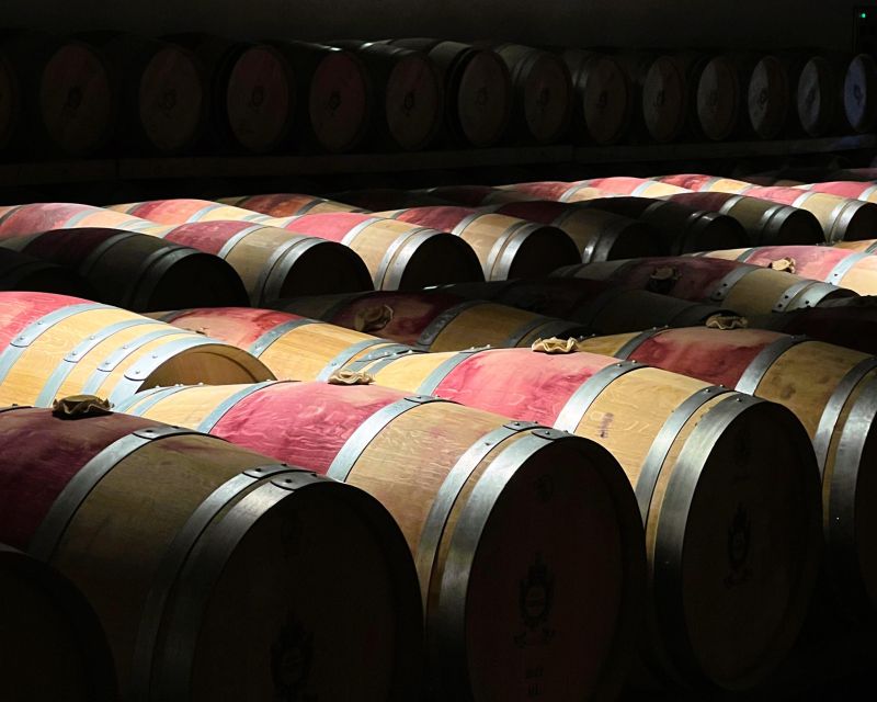 From Bordeaux: Essential Morning Tour with Wine Tasting - Price and value: $81 for a guided estate day that stays focused
