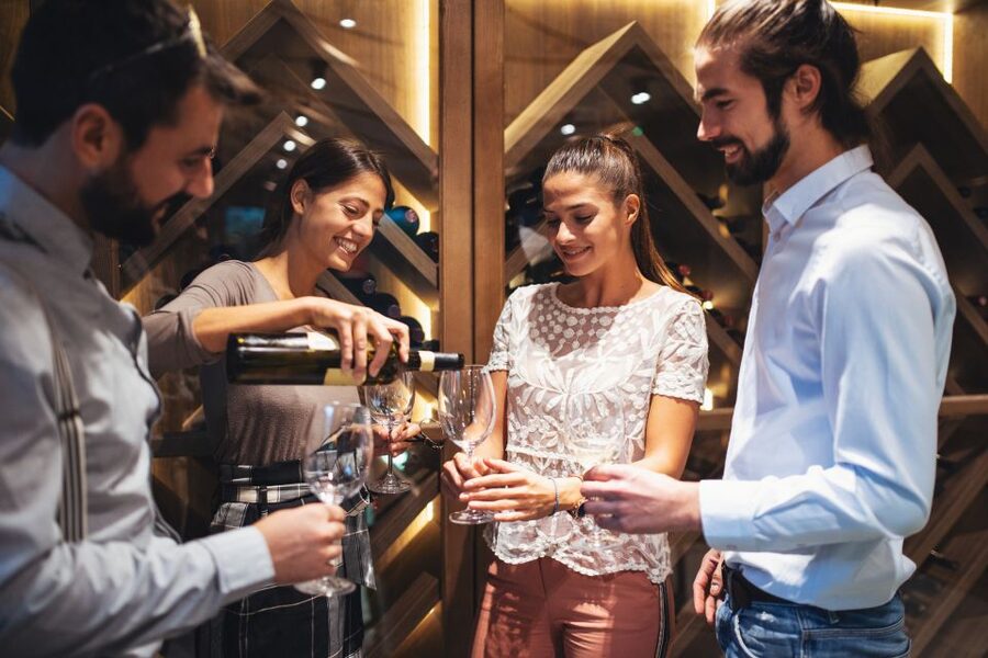 From Bordeaux: Full-Day Medoc Wine Tour - Who should book this tour (and who might feel underwhelmed)