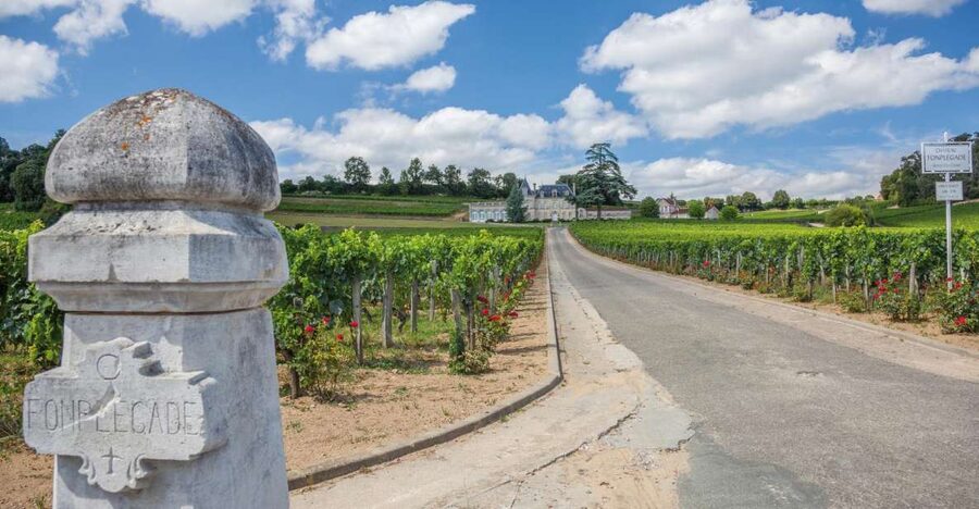 From Bordeaux: Full-Day St Emilion Wine Tasting Tour - Getting From Bordeaux to the Right Bank Without the Stress