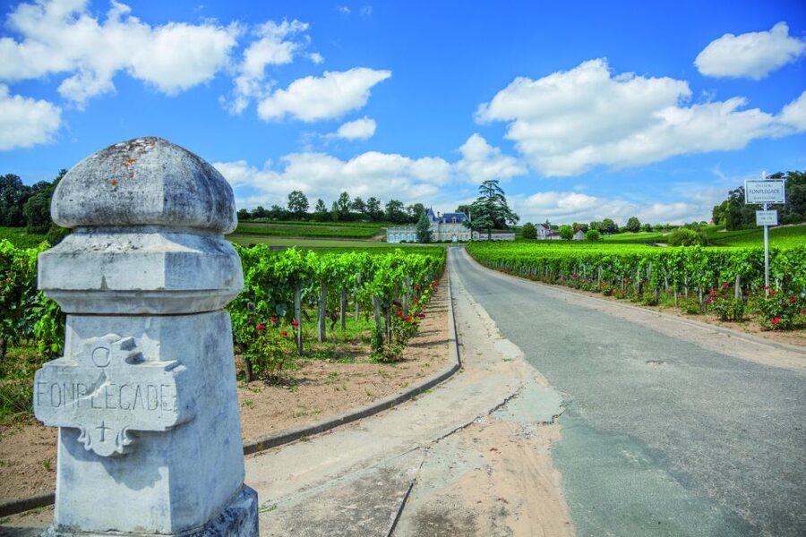 From Bordeaux: Full-Day St Emilion Wine Tasting Tour - First Chateau Stop: A Real Tasting Lesson, Not Just a Pour
