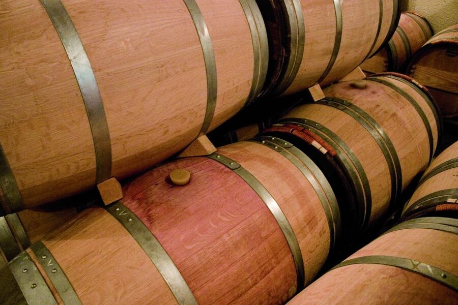 From Bordeaux: Full-Day St Emilion Wine Tasting Tour - Who This Tour Fits Best (and Who Might Be Unhappy)