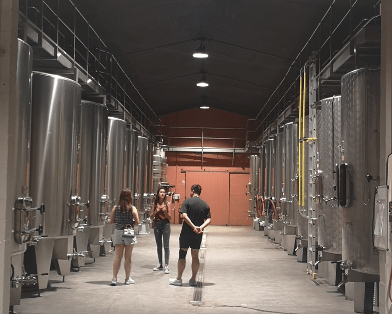 From Bordeaux: Médoc & Margaux Wine Tour Classified Growths - Key things I’d pay attention to