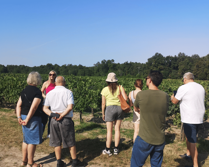 From Bordeaux: Médoc & Margaux Wine Tour Classified Growths - Why this Medoc-to-Margaux route fits in just 4 hours