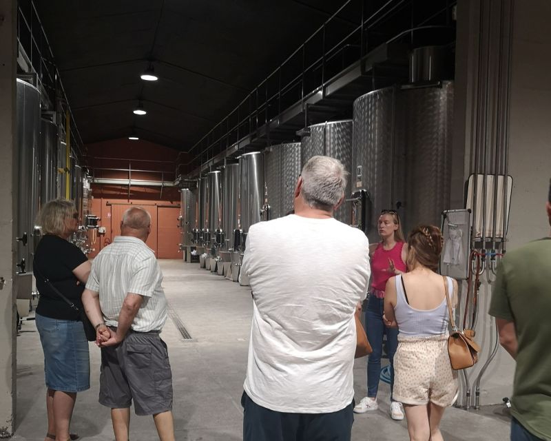 From Bordeaux: Médoc & Margaux Wine Tour Classified Growths - Price and value: what $89 buys you (and what it won’t)