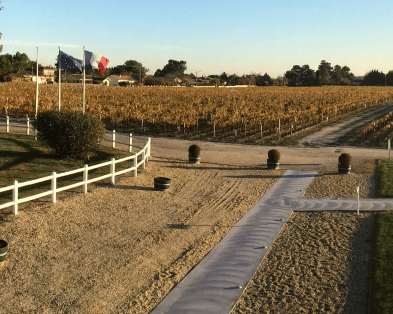 From Bordeaux: Médoc & Margaux Wine Tour Classified Growths - The start: meeting by the Cité du Vin and eating before you pour
