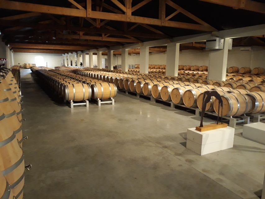 From Bordeaux: Médoc Vineyard and Chateau Tour by Sidecar - Should you book this Médoc vineyard and chateau sidecar tour?