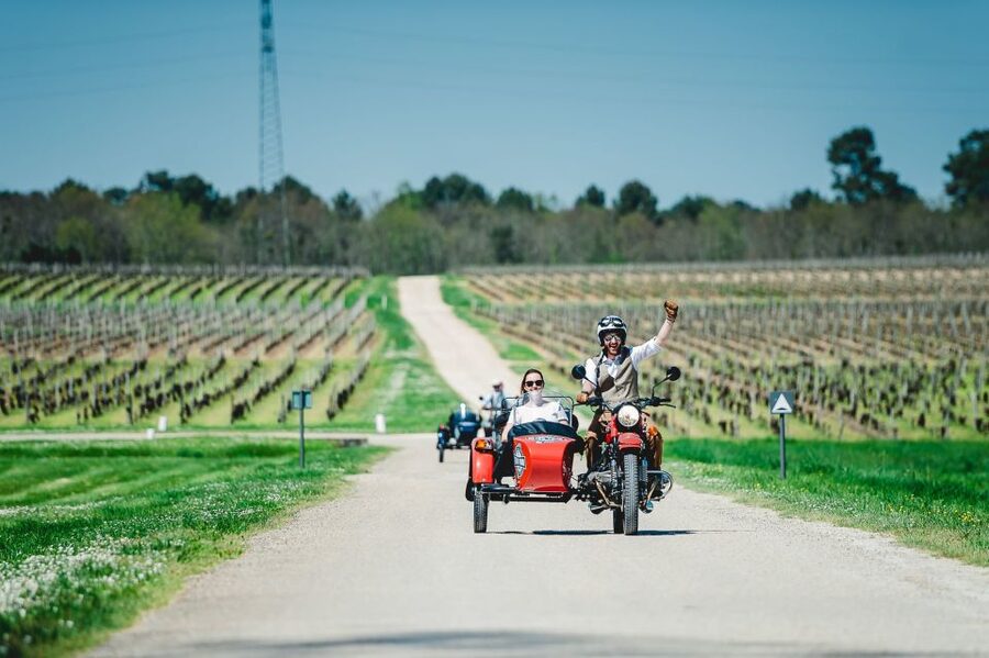 From Bordeaux: Médoc Vineyard and Chateau Tour by Sidecar - The chateau visit and tasting: the main event