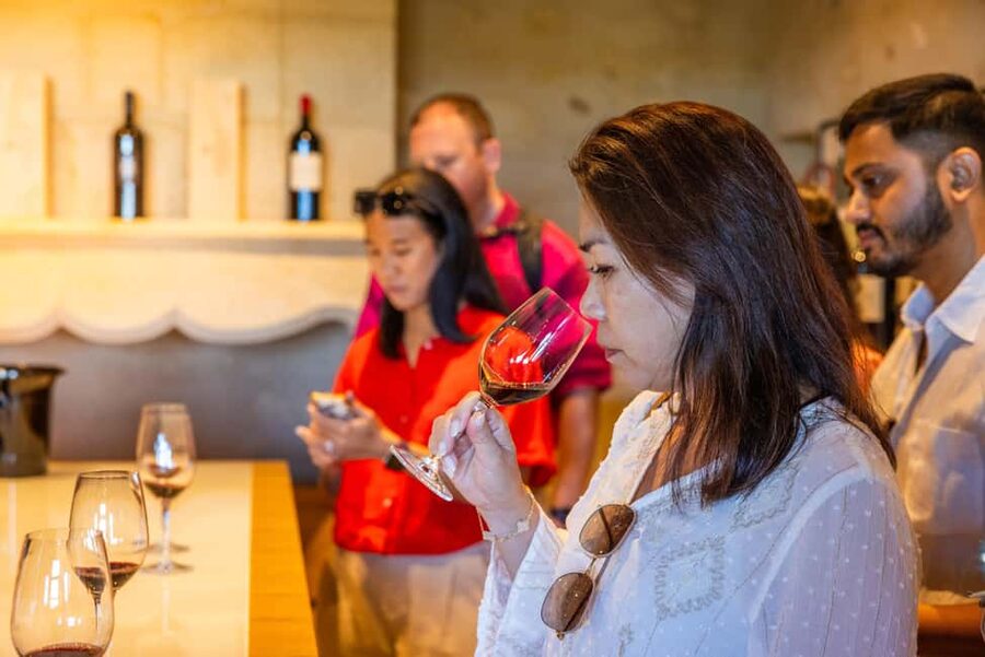 From Bordeaux: Saint-Emilion Guided Wine Tasting Tour - Bordeaux to Saint-Émilion by new 8-seat minivan: the ride matters