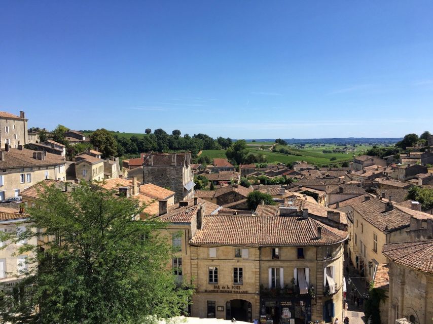 From Bordeaux: Saint-Emilion Guided Wine Tasting Tour - Should you book: yes if you want a smart, small-group wine afternoon
