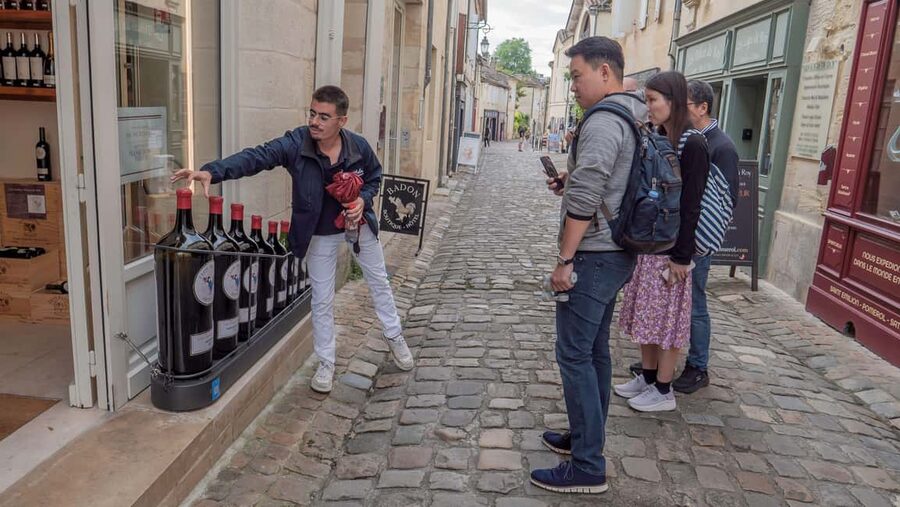 From Bordeaux: St-Emilion Day Tour with Tastings and Lunch - The Van Ride From Bordeaux to the Vine Rows