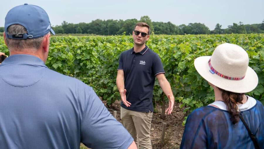From Bordeaux: St-Emilion Day Tour with Tastings and Lunch - Who This Tour Is Best For