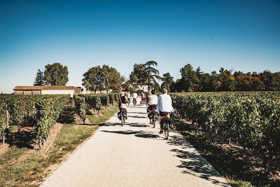 From Saint-Emilion : Half Day Electric Bike Tour - Cycling Between Wineries on Quiet Roads