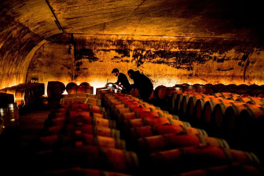 From Saint-Emilion : Half Day Electric Bike Tour - Who This Tour Is Best For