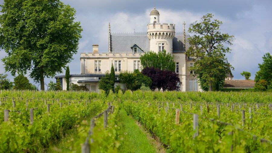 From San Sebastián: Bordeaux & Winery Private Guided Tour - Key highlights at a glance