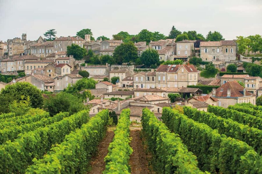 Full-day Saint-Emilion: Village, Undergrounds and Châteaux - A UNESCO Wine Day in Saint-Émilion: What the Schedule Really Feels Like