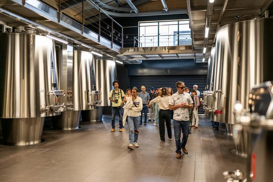 Full-day Saint-Emilion: Village, Undergrounds and Châteaux - Pacing, Comfort, and Who This Tour Suits Best