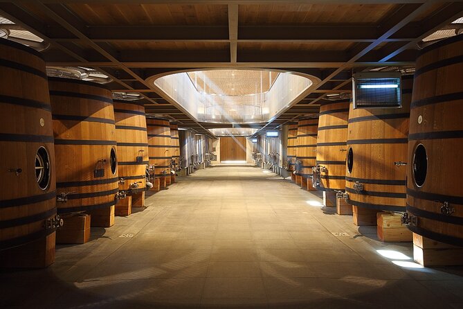 Full Day Tour Saint Emilion with lunch two Chateaux and Village - Saint-Émilion’s medieval streets, guided and practical