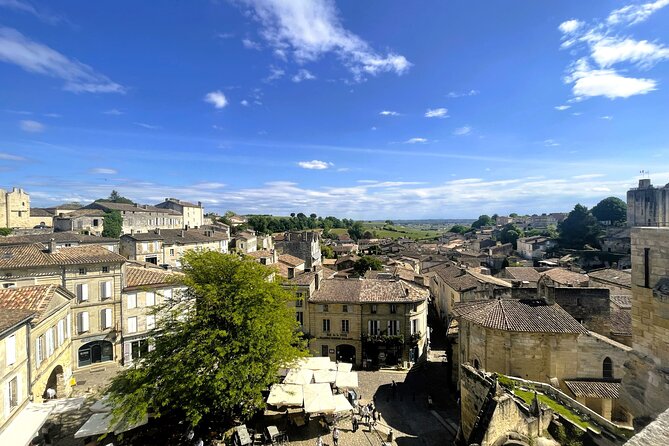 Full Day Tour Saint Emilion with lunch two Chateaux and Village - Château Côte de Baleau and a second family-run estate stop