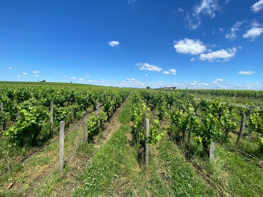 Full Day Wine tour in saint emilion & Margaux - Why the guides matter here (Kareem and Amin are good examples)