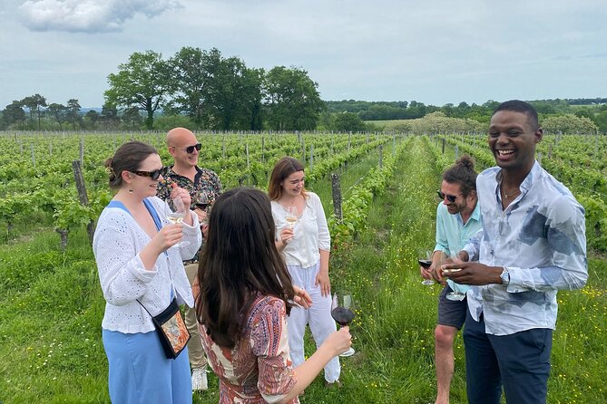 Half-Day Guided Wine Tasting Tour in Bordeaux Vineyards - Key highlights you’ll actually feel on the tour
