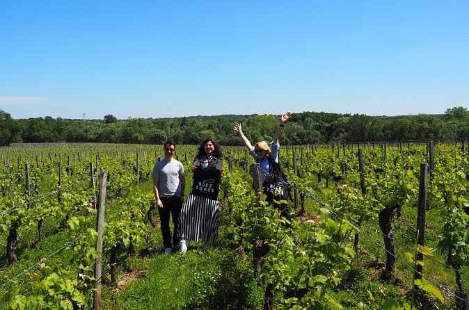 Half-Day Guided Wine Tasting Tour in Bordeaux Vineyards - What’s included (and what you’ll want to budget for)