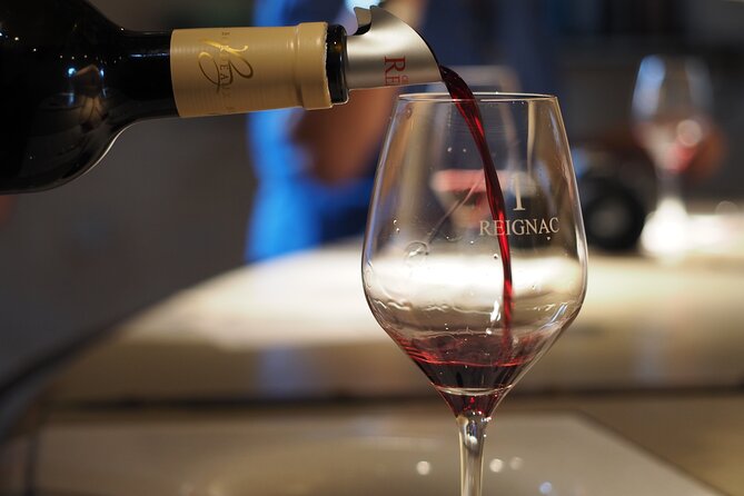 Half-Day Guided Wine Tasting Tour in Bordeaux Vineyards - How the day moves: meet, drive, taste, and head back