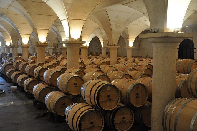 Half-day tour to Saint Emilion, a UNESCO site, with a private guide - From Bordeaux at 9:00: getting to Saint-Émilion without stress