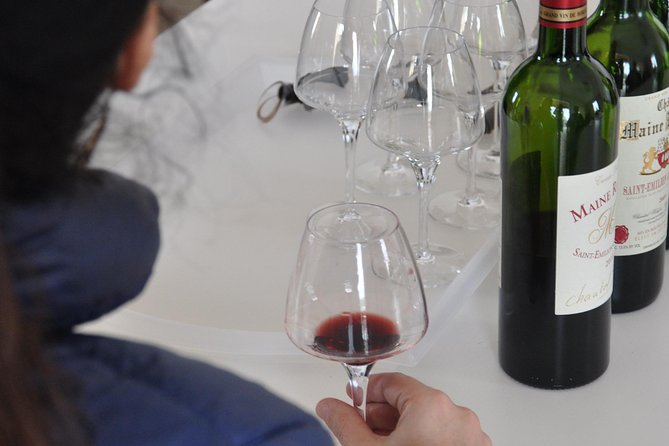 Half-day tour to Saint Emilion, a UNESCO site, with a private guide - Walking the UNESCO town: how to use the short medieval stroll