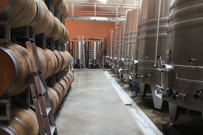 Half-day tour to Saint Emilion, a UNESCO site, with a private guide - Should you book this Saint-Émilion private wine tour?