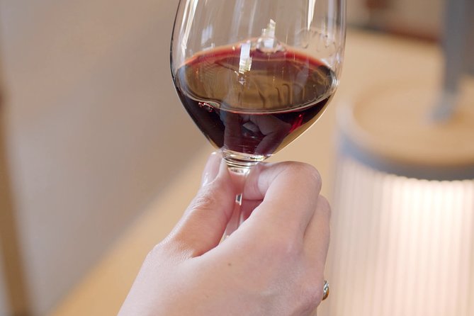 Luxurious full day Bordeaux wine tour in a Tesla - Lunch and tastings: what to budget so the day stays smooth