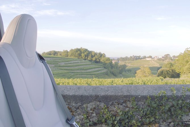 Luxurious full day Bordeaux wine tour in a Tesla - The guide factor: Pascal and Fred are not just drivers