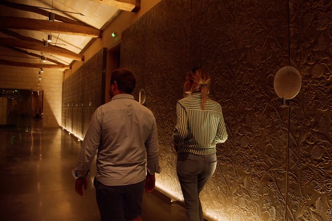 Luxurious full day Bordeaux wine tour in a Tesla - Booking value at $396 for a private Tesla wine day
