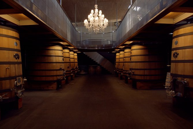 Luxurious full day Bordeaux wine tour in a Tesla - What the day actually feels like in the real world