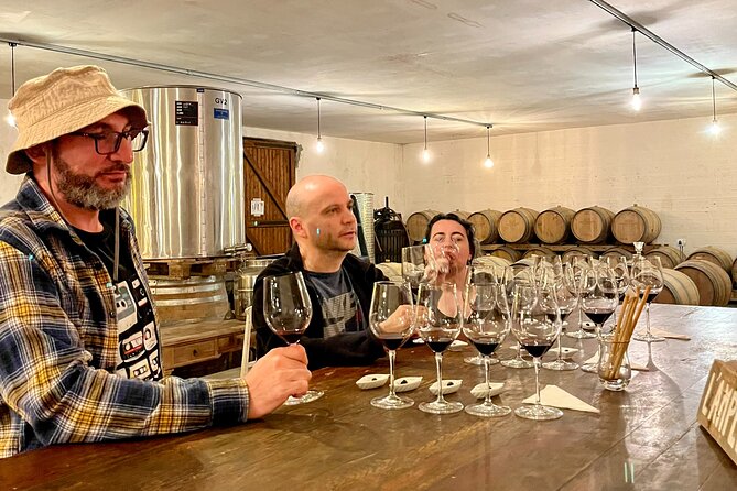 Margaux & Médoc: half day private tour in a classic car - Picnic after wine: a smart way to slow the day down
