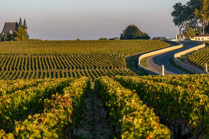 Margaux & Médoc: half day private tour in a classic car - Price and value: what $577.64 per person buys in the real world