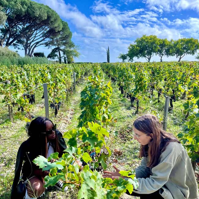 Margaux & Médoc private FULL day tour with a classic car - Price and Value: Is $411 Per Person Worth It?
