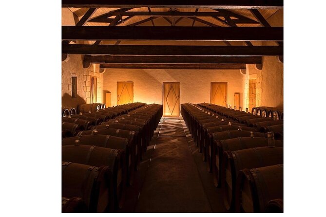 Margaux Wine Tour experience - Who this tour suits best (and who might want a different format)