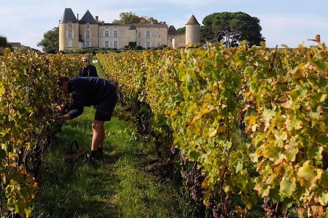 Margaux Wine Tour experience - The guide factor: comfort, explanations, and going the extra step