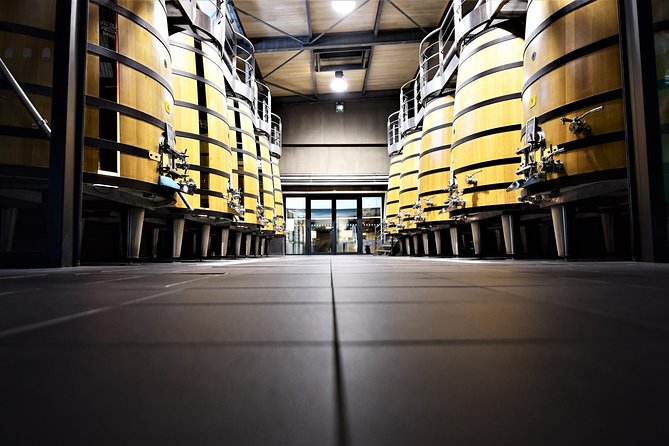 Medoc Afternoon Wine Tour - 2 Wineries, tastings & delicacies - Should you book the Médoc Afternoon Wine Tour?
