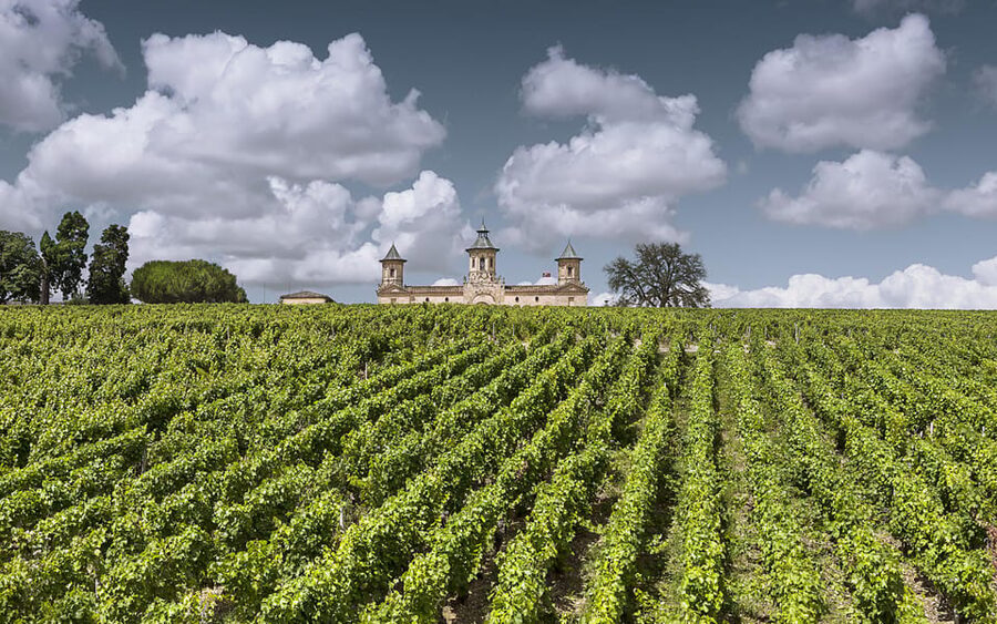 Médoc Morning Wine Tour - Winery & Tastings - Why the Médoc Morning Tour Fits Real Schedules