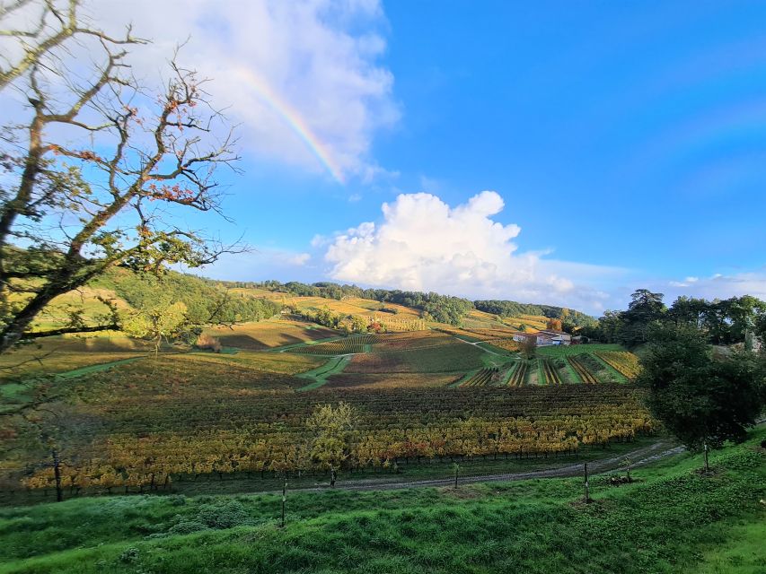 Médoc Morning Wine Tour - Winery & Tastings - Who This Tour Suits Best (and Who Might Feel the Constraints)