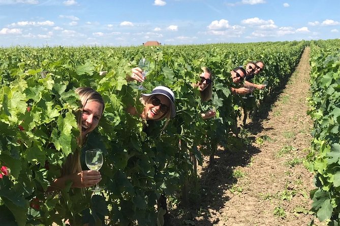 Medoc or Saint Emilion Wine Tasting and Chateau from Bordeaux - Getting there and back: the van ride you’ll actually appreciate
